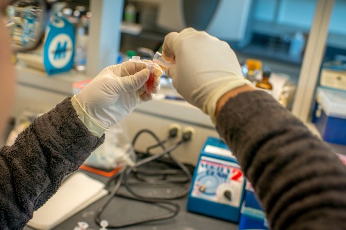 gloved hands filling a test tube